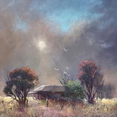 Dust Storm Booroorban