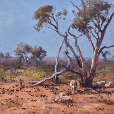 Out Along Mallee